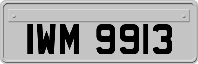 IWM9913