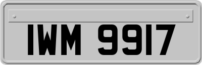 IWM9917