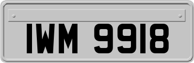 IWM9918