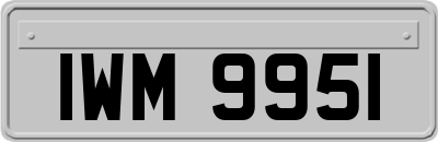 IWM9951