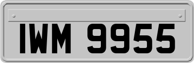 IWM9955
