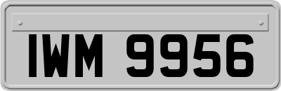 IWM9956