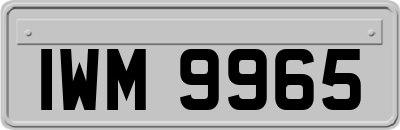 IWM9965