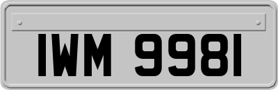 IWM9981