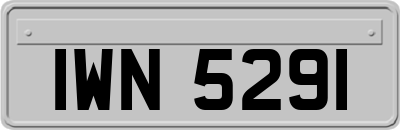 IWN5291
