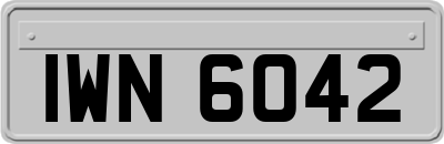 IWN6042