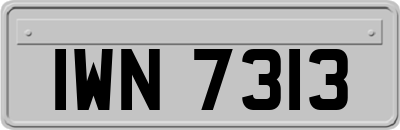 IWN7313