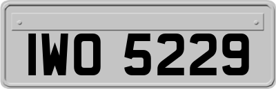 IWO5229