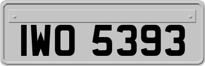 IWO5393