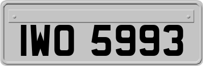 IWO5993