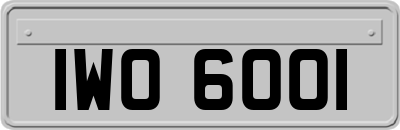 IWO6001