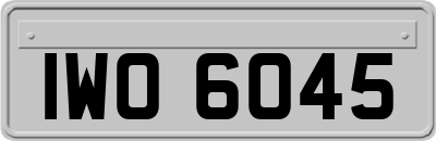 IWO6045