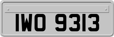 IWO9313