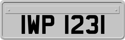 IWP1231
