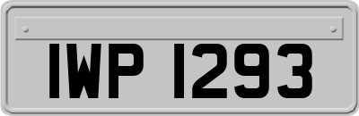 IWP1293