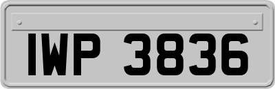 IWP3836