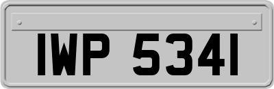 IWP5341