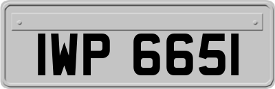 IWP6651