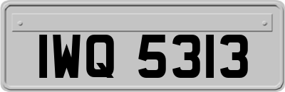 IWQ5313