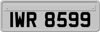 IWR8599