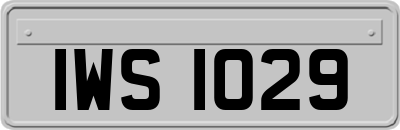 IWS1029