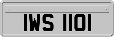 IWS1101