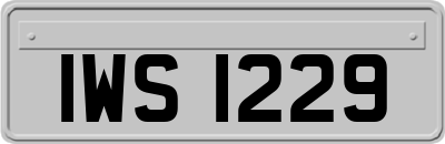 IWS1229