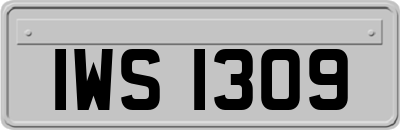 IWS1309