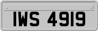 IWS4919