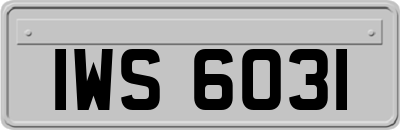 IWS6031