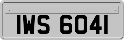 IWS6041