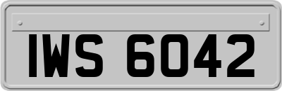 IWS6042