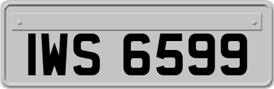 IWS6599