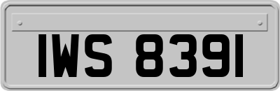 IWS8391