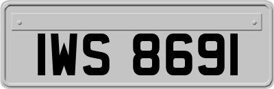 IWS8691