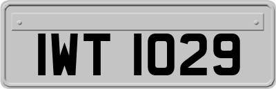 IWT1029
