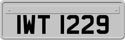 IWT1229