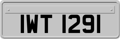 IWT1291