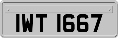 IWT1667