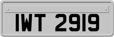 IWT2919