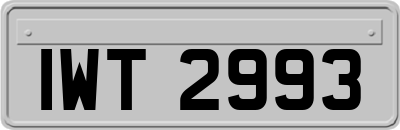 IWT2993