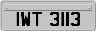 IWT3113