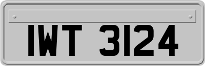 IWT3124