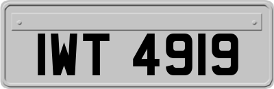 IWT4919