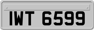 IWT6599
