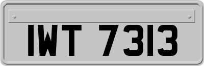 IWT7313