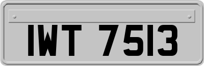 IWT7513
