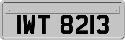IWT8213