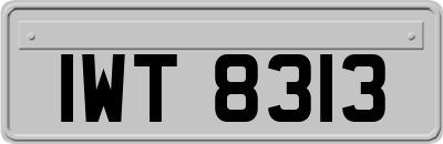 IWT8313