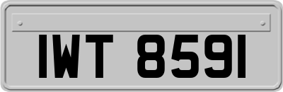IWT8591